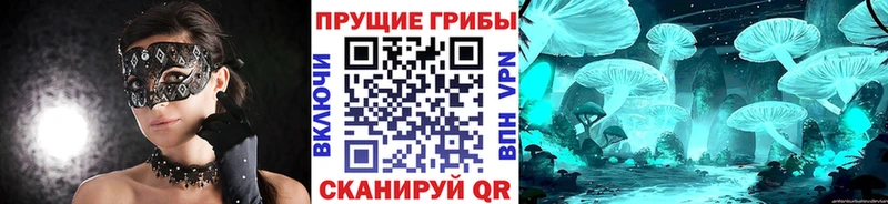 Купить  Сольцы  Псилоцибиновые грибы прущие грибы 